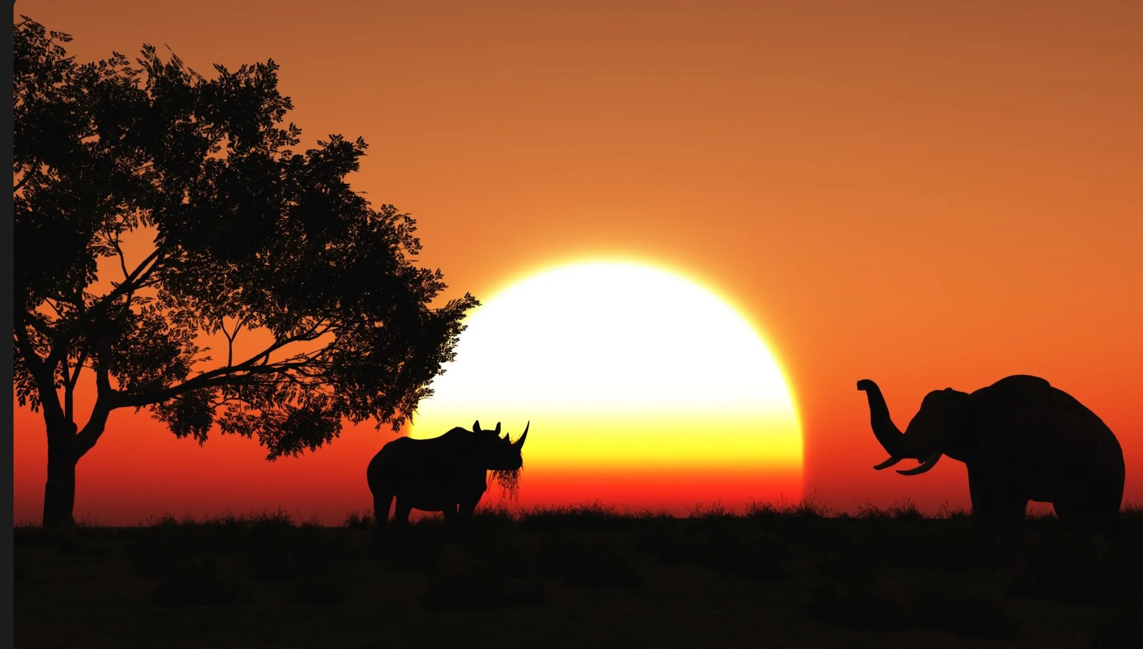 Почему туристы едут в Африку: топ-10 развлечений