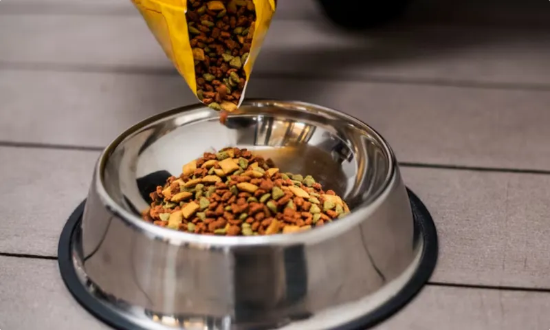 PR продвижение для бизнеса